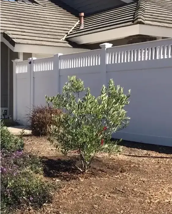 The same bed cleared back to a single low shrub